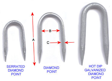 Staple types